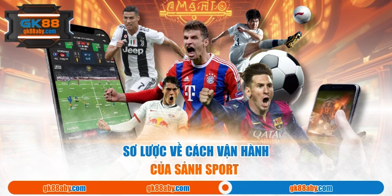 Sơ lược về cách vận hành của sảnh sport 